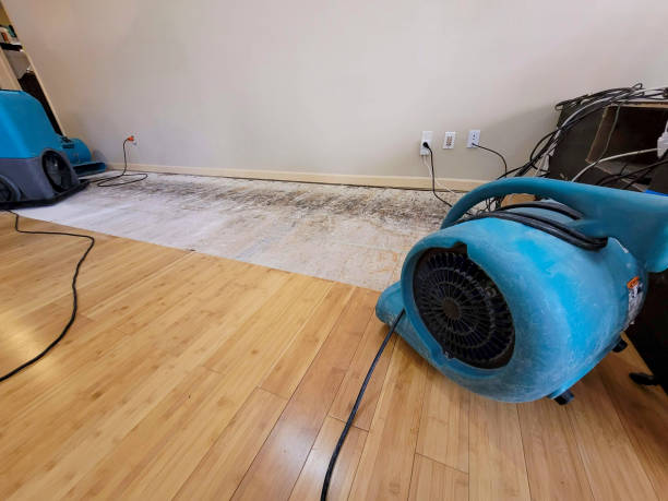 Professional Flood Damage Cleanup technician working in Waller, WA